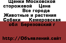 Щенки Московской сторожевой  › Цена ­ 25 000 - Все города Животные и растения » Собаки   . Кемеровская обл.,Березовский г.